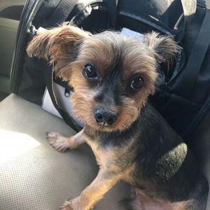 Meet your Posher, Minako